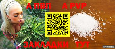 эйфоретик Малгобек