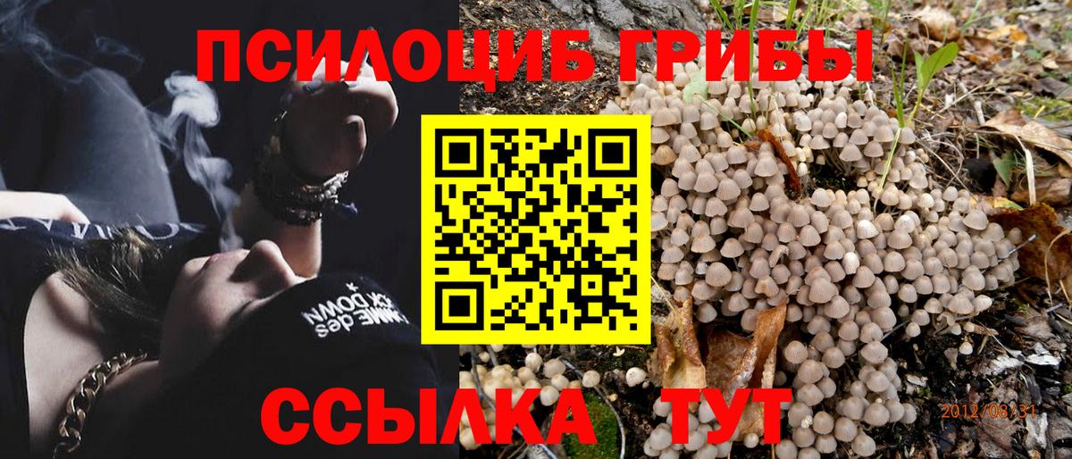 Псилоцибиновые грибы мицелий Удомля