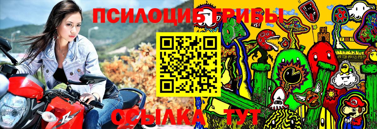 Удомля  где продают наркотики  Вход с VPN  Псилоцибиновые грибы MAGIC MUSHROOMS 