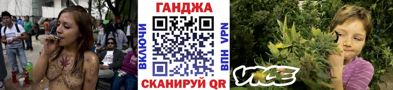 как найти закладки  Удомля  Шишки марихуана SATIVA & INDICA 